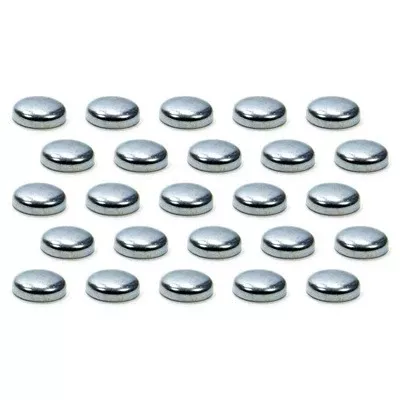 Expansion Plugs - 1in 100pk