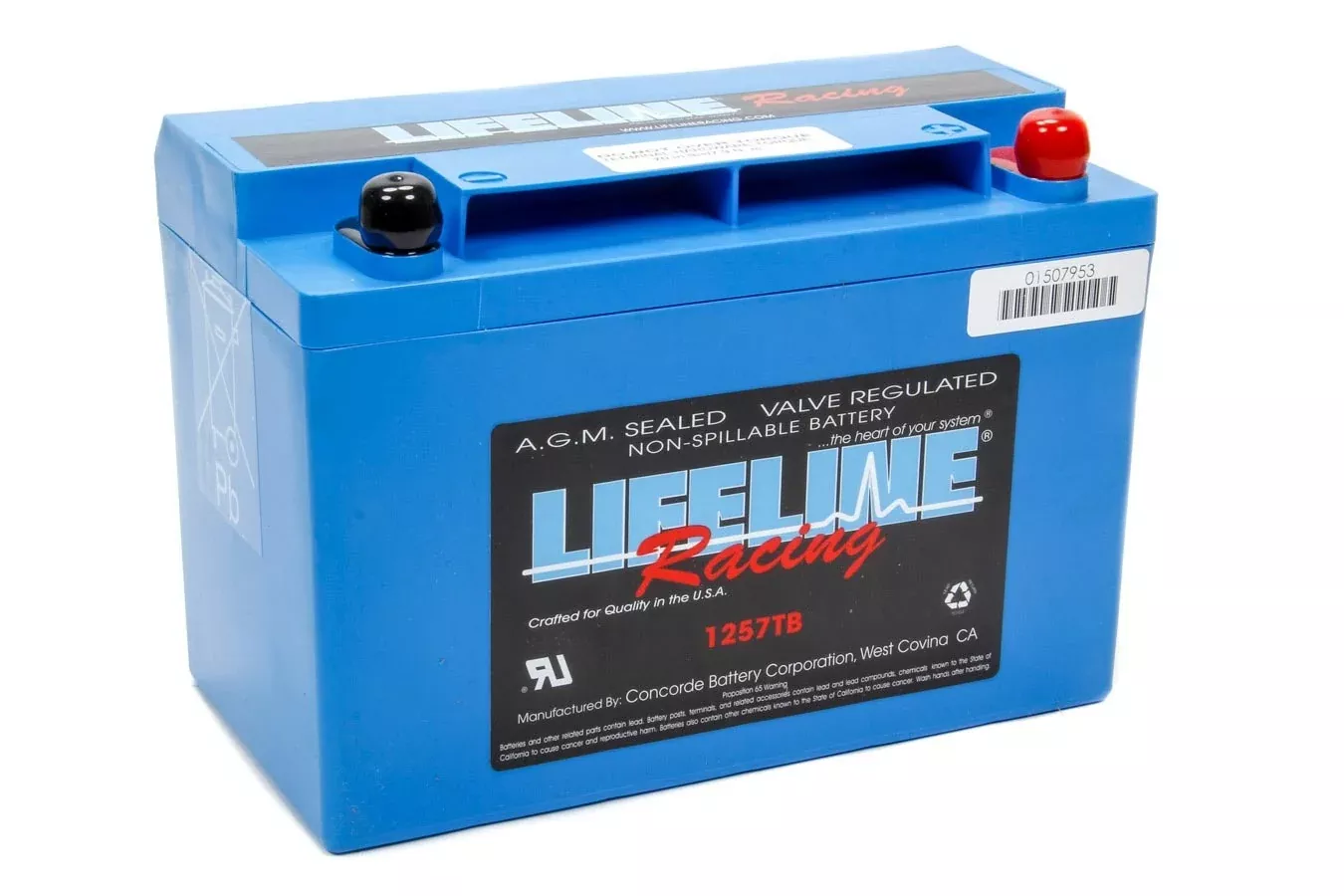 Lifeline Battery - Power Cell Battery 9.78 x 4.97 x 6.83