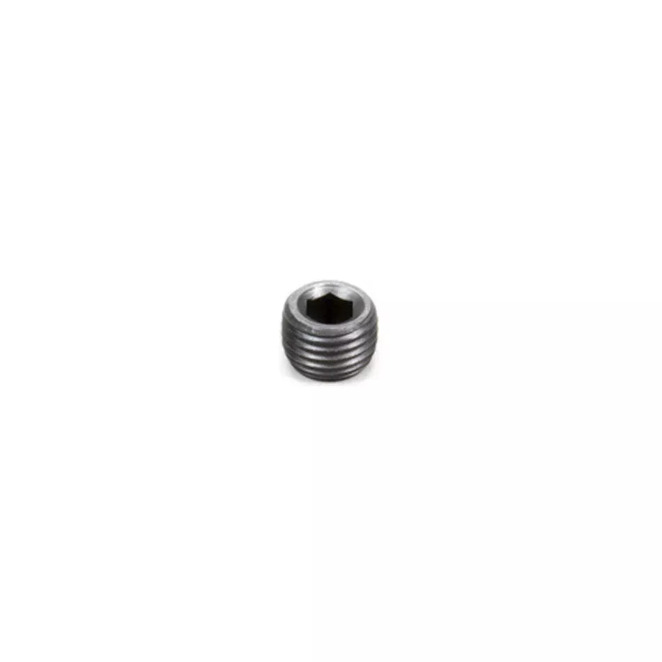 Pipe Plugs - 1/4 (100)