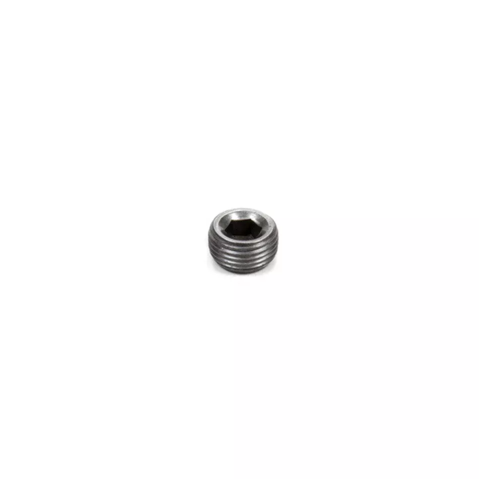 Pipe Plugs - 3/8 (100)